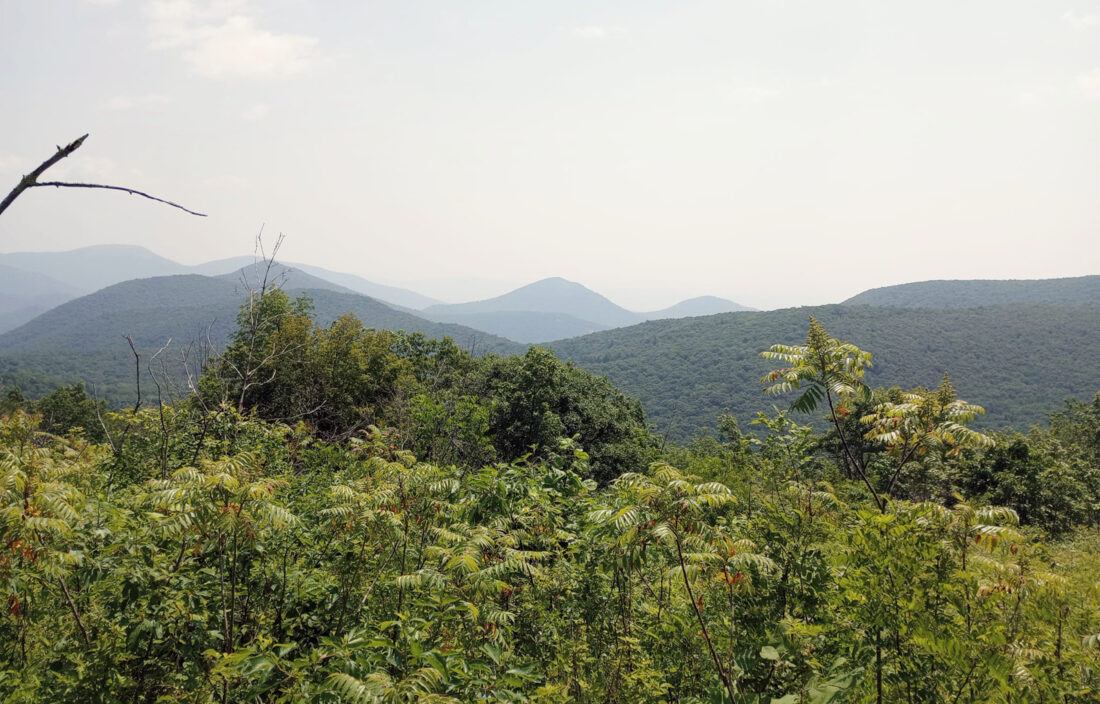 Lock Haven native Steve Yale once again hiking Appalachian Trail News